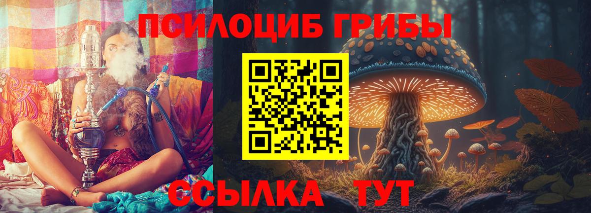 Галлюциногенные грибы MAGIC MUSHROOMS Гусь-Хрустальный